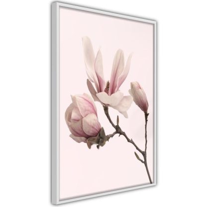 Affiche Murale | Affiche Murale Encadrée "Blooming Magnolias II" Affiche Murale Affiche Murale