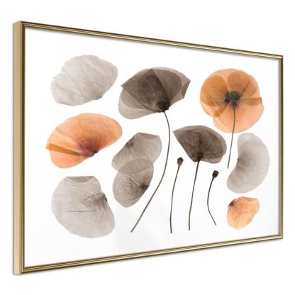 Affiche Murale | Affiche Murale Encadrée "Dried Poppies" Affiche Murale Affiche Murale