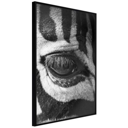 Affiche Murale | Affiche Murale Encadrée "Zebra Is Watching You" Affiche Murale Affiche Murale