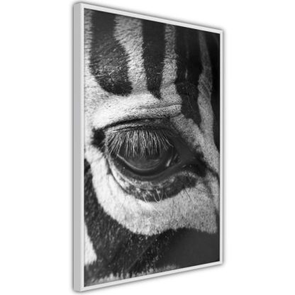 Affiche Murale | Affiche Murale Encadrée "Zebra Is Watching You" Affiche Murale Affiche Murale