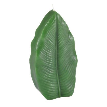 Bougie | Bougie Feuille "Jardin d’Hiver" 18cm Vert Foncé Bougie Bougie