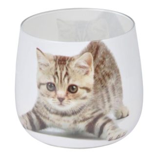 Bougie Parfumée | Bougie Anti-Odeurs "Chat" 8cm Blanc Bougie Parfumée Blanc