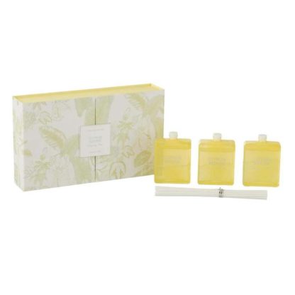 Diffuseur de Parfum | Lot de 3 Huiles Parfumées "Sense" 22cm Citron Énergisant Bougies & Senteurs Diffuseur de Parfum