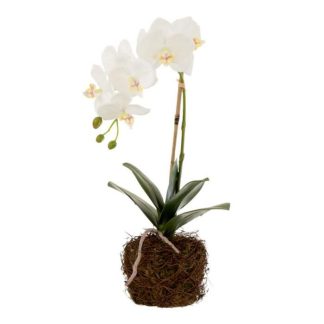 Fleur Artificielle | Fleur Artificielle Déco "Orchidée en Terre" 40cm Blanc Fleur Artificielle Blanc