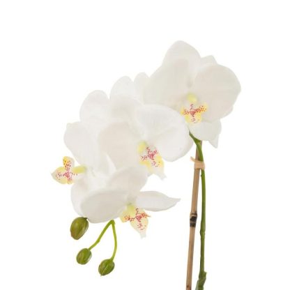 Fleur Artificielle | Fleur Artificielle Déco "Orchidée en Terre" 40cm Blanc Fleur Artificielle Blanc