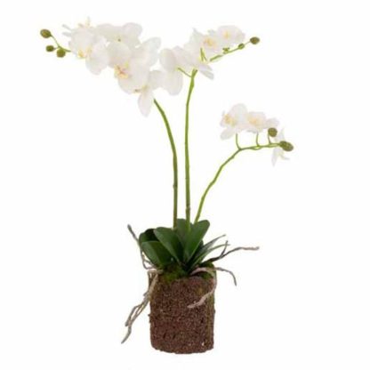 Fleur Artificielle | Fleur Artificielle Déco "Orchidée en Terre" 54cm Blanc Fleur Artificielle Blanc