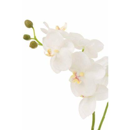 Fleur Artificielle | Fleur Artificielle Déco "Orchidée en Terre" 54cm Blanc Fleur Artificielle Blanc