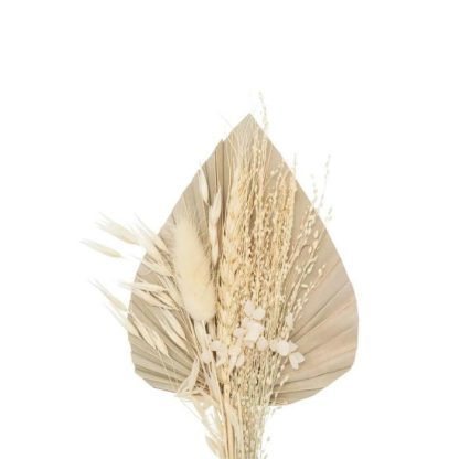 Fleur Artificielle | Mini Bouquet de Fleurs Naturelles "Seav" 30cm Beige Fleur Artificielle Beige