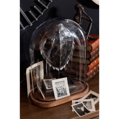 Objet à Poser | Cloche Décorative Ovale "Tramar" 41cm Transparent Accessoires Déco Objet à Poser