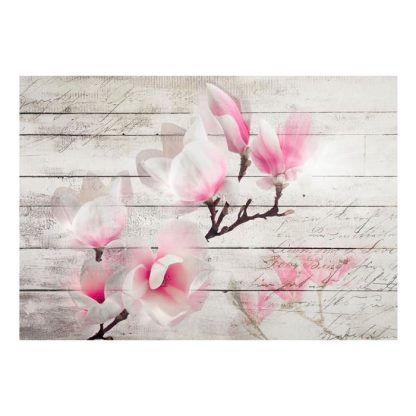 Papier Peint | Papier Peint "Gentleness of the Magnolia" Décoration Murale Multicolore