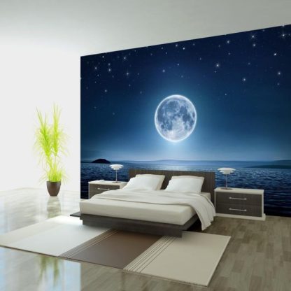 Papier Peint | Papier Peint "Moonlit Night" Décoration Murale Multicolore