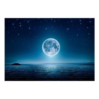 Papier Peint | Papier Peint "Moonlit Night" Décoration Murale Multicolore