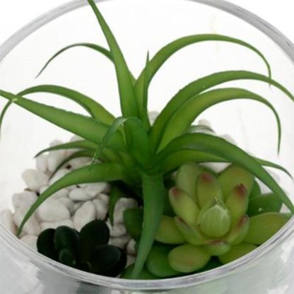 Plante Artificielle | Composition Pot "Plante Artificielle" 16cm Transparent Plante Artificielle Plante Artificielle