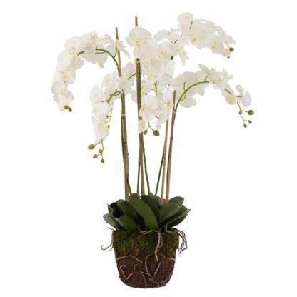 Plante Artificielle | Fleur Artificielle Déco "Orchidée en Terre" 98cm Blanc Plante Artificielle Blanc