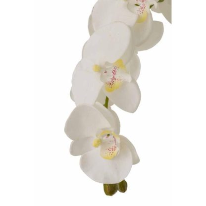 Plante Artificielle | Fleur Artificielle Déco "Orchidée en Terre" 98cm Blanc Plante Artificielle Blanc