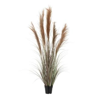 Plante Artificielle | Herbe de Pampas Artificielle en Pot "5 Têtes" 147cm Vert & Orange Plante Artificielle Plante Artificielle