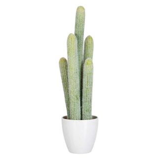 Plante Artificielle | Plante Artificielle "Cactus 5 Parties" 54cm Vert Plante Artificielle Plante Artificielle