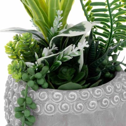 Plante Artificielle | Plante Artificielle Déco "Bouddha" 30cm Gris Plante Artificielle Gris