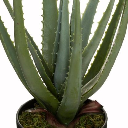 Plante Artificielle | Plante Artificielle en Pot "Aloe Vera" 44cm Vert Plante Artificielle Plante Artificielle