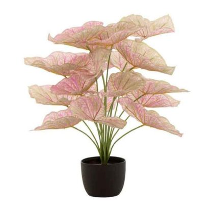 Plante Artificielle | Plante Artificielle en Pot "Caladium" 57cm Rose Clair Plante Artificielle Plante Artificielle