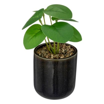 Plante Artificielle | Plante Artificielle en Pot "Reac" 16cm Noir & Vert Plante Artificielle Noir & Vert