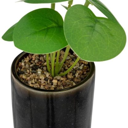 Plante Artificielle | Plante Artificielle en Pot "Reac" 16cm Noir & Vert Plante Artificielle Noir & Vert