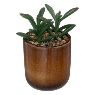 Plante Artificielle | Plante Artificielle en Pot "Reac" 16cm Ocre & Vert Plante Artificielle Ocre & Vert