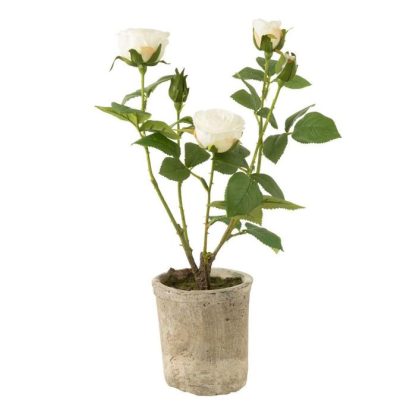 Plante Artificielle | Plante Artificielle en Pot "Rosier" 39cm Blanc Plante Artificielle Blanc