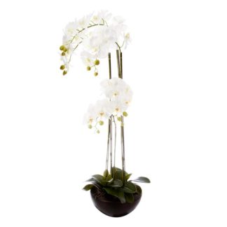 Plante Artificielle | Plante Artificielle "Orchidée" 115cm Blanc Plante Artificielle Blanc