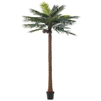 Plante Artificielle | Plante Artificielle "Palmier 4 Noix de Coco" 350cm Vert Plante Artificielle Plante Artificielle