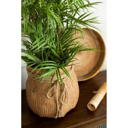 Plante Artificielle | Plante Artificielle "Palmier en Pot" 84cm Vert Plante Artificielle Plante Artificielle