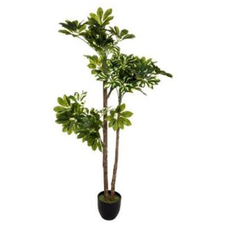 Plante Artificielle | Plante Artificielle "Schefflera" 135cm Vert & Noir Plante Artificielle Plante Artificielle