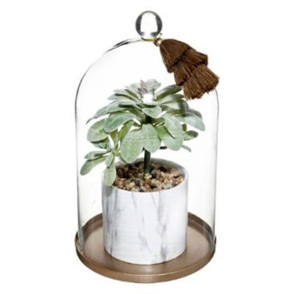 Plante Artificielle | Plante Artificielle & Cloche "Suite" 25cm Multicolore Plante Artificielle Multicolore