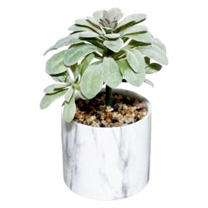 Plante Artificielle | Plante Artificielle & Cloche "Suite" 25cm Multicolore Plante Artificielle Multicolore