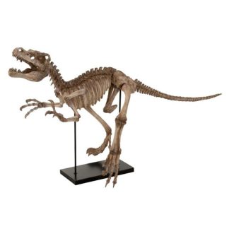 Statue & Statuette | Statuette Déco sur Pied "Dino T-Rex" 145cm Marron Accessoires Déco Marron