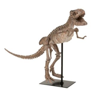 Statue & Statuette | Statuette Déco sur Pied "Dino T-Rex" 47cm Marron Accessoires Déco Marron