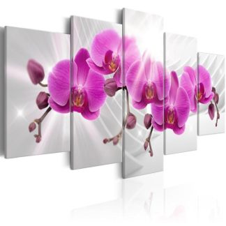 Toile & Tableau | Tableau Imprimé "Abstract Garden : Pink Orchids" Décoration Murale Multicolore