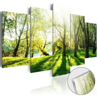 Toile & Tableau | Tableau sur Verre Acrylique "Green Glade" Décoration Murale Multicolore