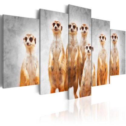 Toile & Tableau | Tableau Imprimé "Meerkats" Décoration Murale Multicolore